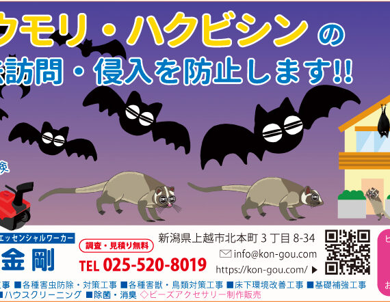 1ヶ月遅れの年頭の御挨拶