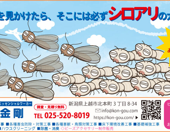 捨てない人が拾っている